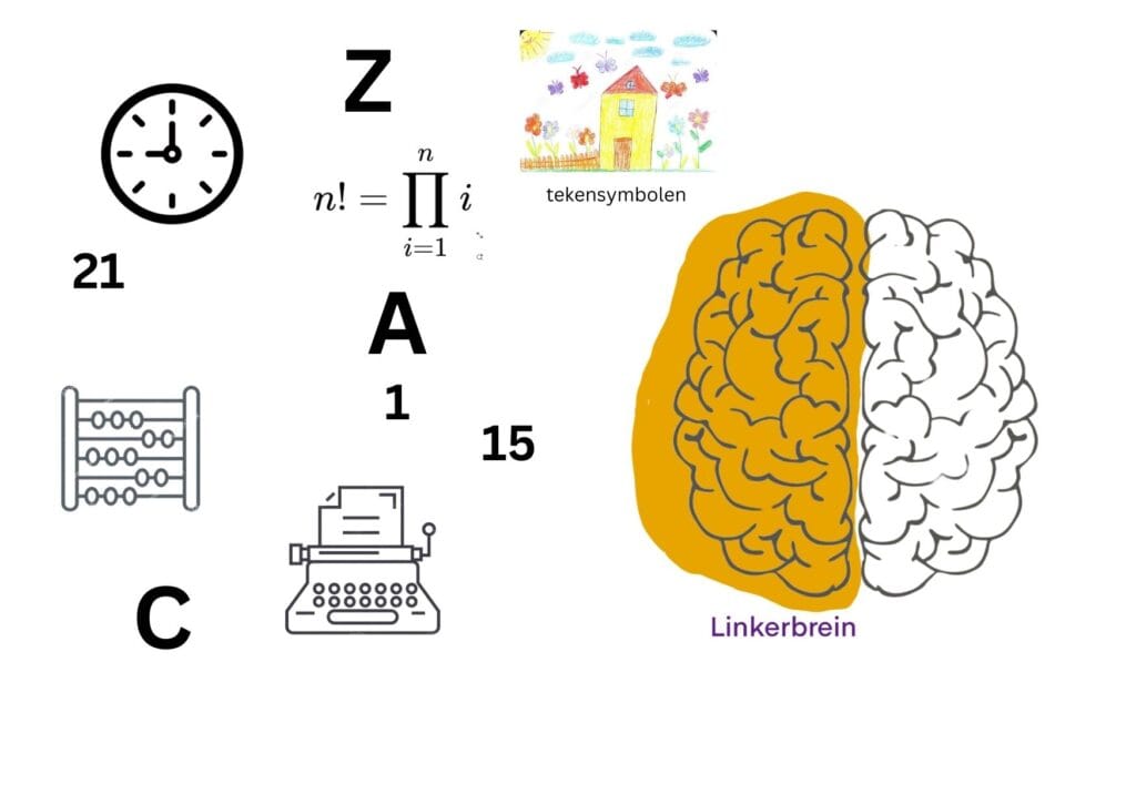 Diagram van de linker- en rechterhersenhelft en hun functies bij tekenen."