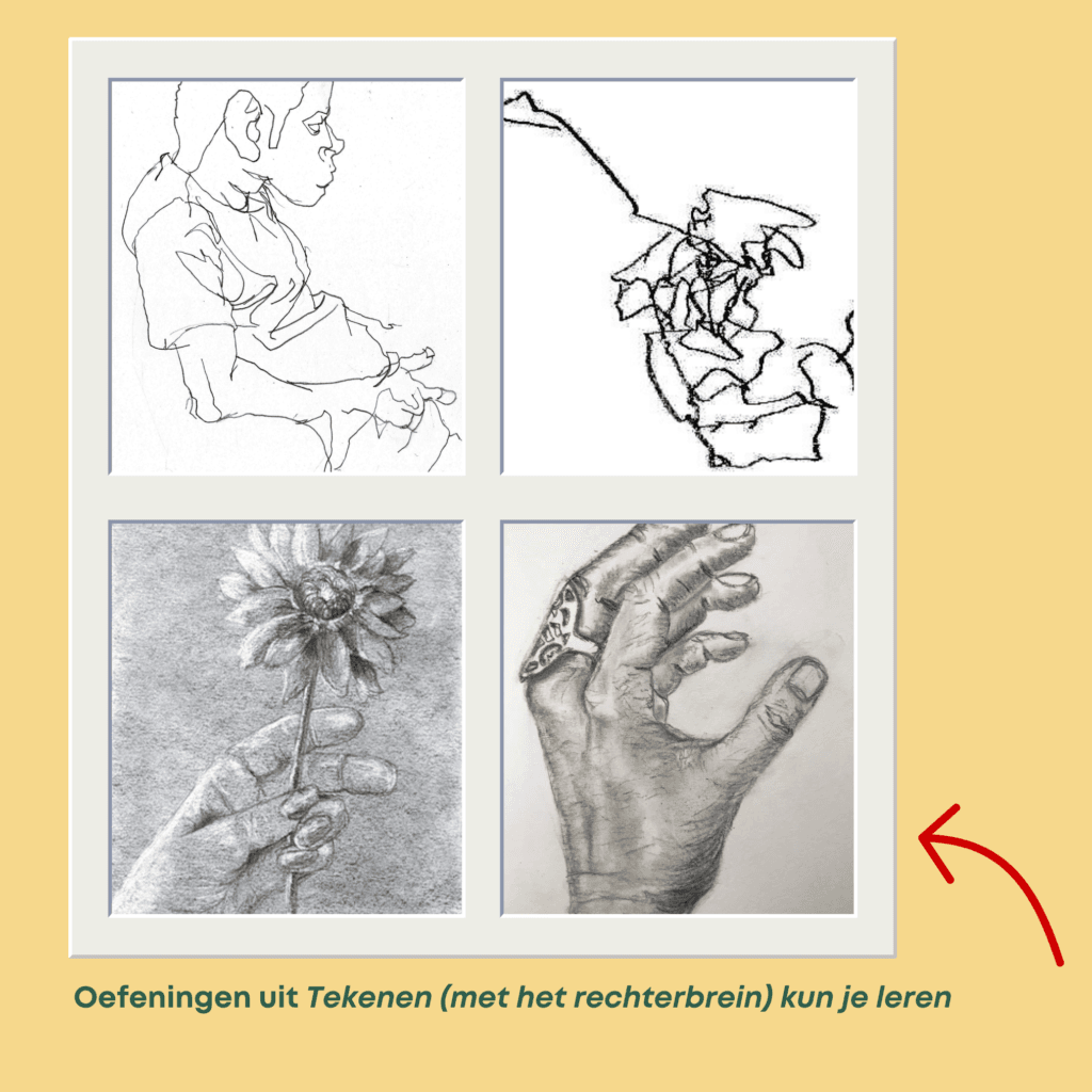 Tekenen (met het rechterbrein) kun je leren